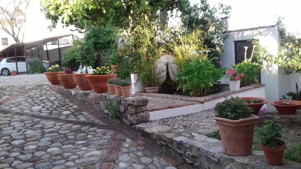프라도델레이 Casas De Almajar 빌라 외부 사진