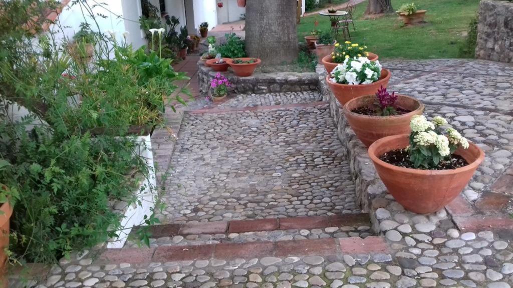 프라도델레이 Casas De Almajar 빌라 외부 사진